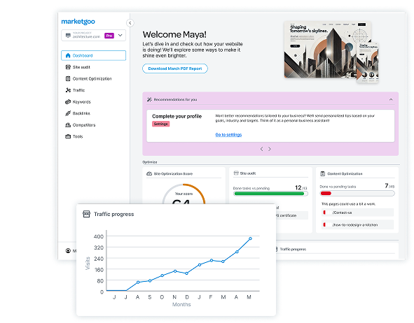Marketgoo SEO tools 4 marketgoo WebAppMockupReselling