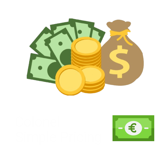Цены 1 colonel server services pricing