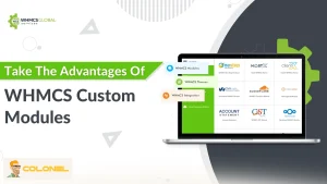 WHMCS Cloud Hosted Complete Guide 11 WHMCS Addon Modules