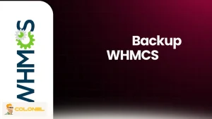 WHMCS Cloud Hosted Complete Guide 9 WHMCS Backup and Recovery