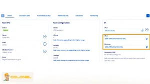 Verifying Existing IPv6 Assignment
