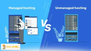 Top Factors to Consider When Choosing the Best VPS Provider 11 Managed vs. Unmanaged VPS Hosting