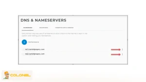 Nameserver Settings