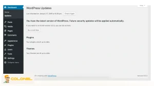 WordPress Updates