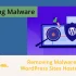 wordpress malware removal