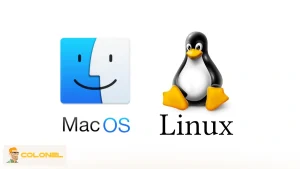 How to Implement a Reliable Backup Plan on Hetzner VPS 9 Rsync for Linux/macOS