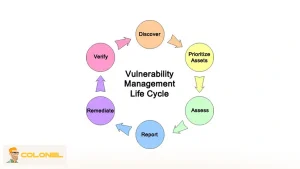 Vulnerability Management
