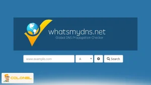 WhatsMyDNS.net