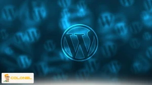 Securing Your WordPress Site from Hacks 5 Why WordPress Security Matters
