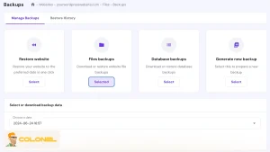 Backup website files