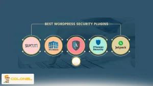 Securing Your WordPress Site from Hacks 12 WordPress Plugin and Theme Management