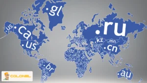 Country Code Top-Level Domains (ccTLDs)
