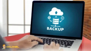 Create a Full Website Backup