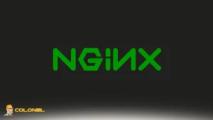 NGINX