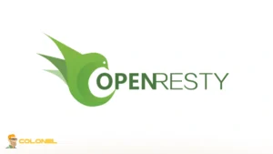 OpenResty