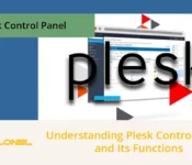 Plesk Control Panel