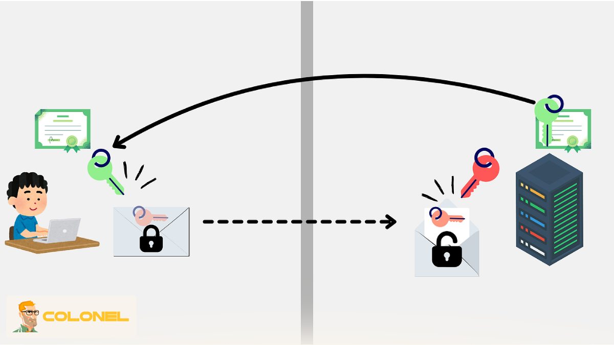 TLS Versions and Evolution of Protocols