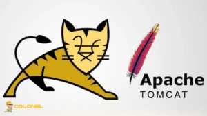 Tomcat Open Source Web Server