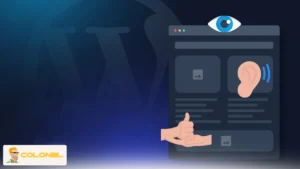Types of WordPress Accessibility Plugins