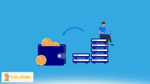 What Earning Money by Reseller Hosting Really Means