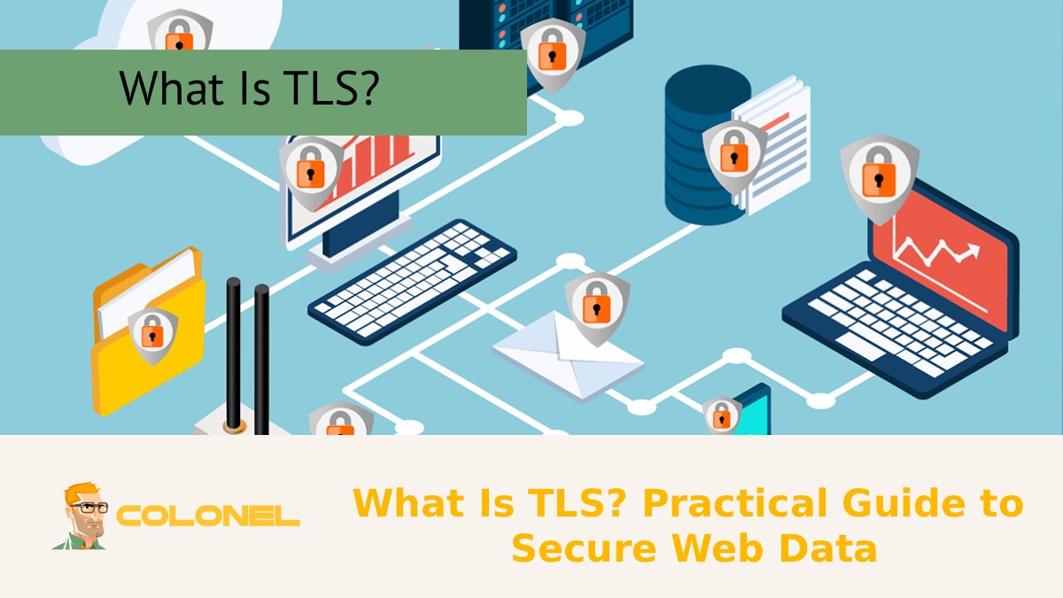 What Is TLS? Practical Guide to Secure Web Data