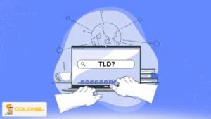 What Is a TLD