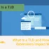 What Is a TLD
