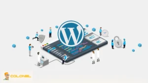 Understanding Plesk Control Panel and Its Functions 9 WordPress Management Through Plesk Control Panel