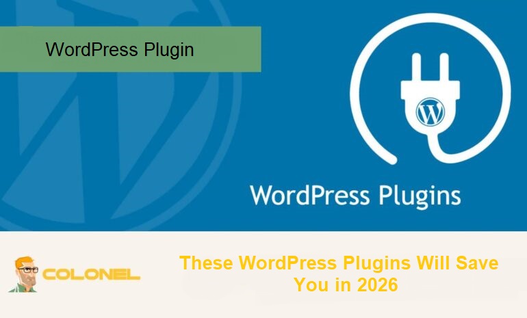 WordPress Plugin