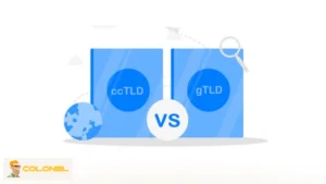 gTLD vs ccTLD