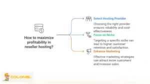 the Right Niche for Reseller Hosting Profitability