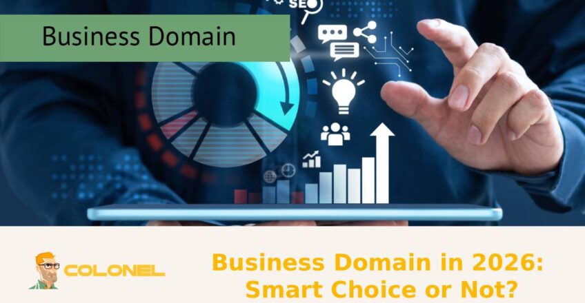 Business Domain in 2026: Smart Choice or Not?