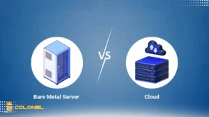 Cloud vs. Bare-Metal Servers