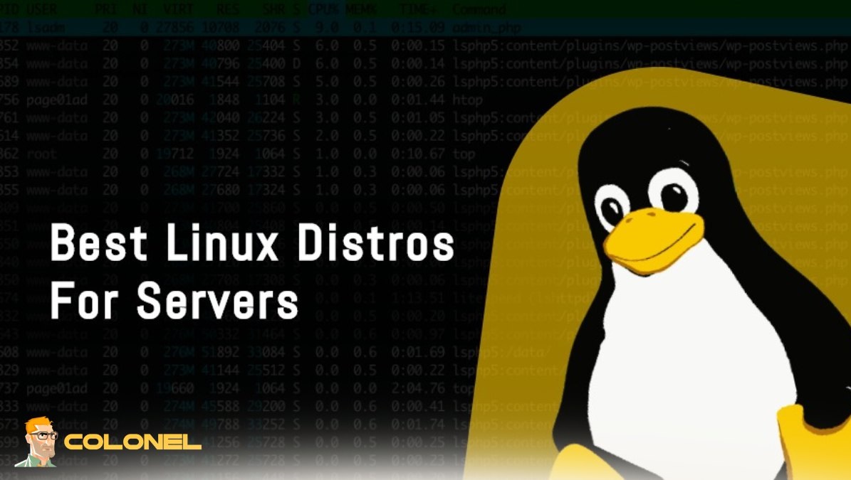Best Linux Distributions for Virtual Servers 11 Comparing Performance and Resource Efficiency