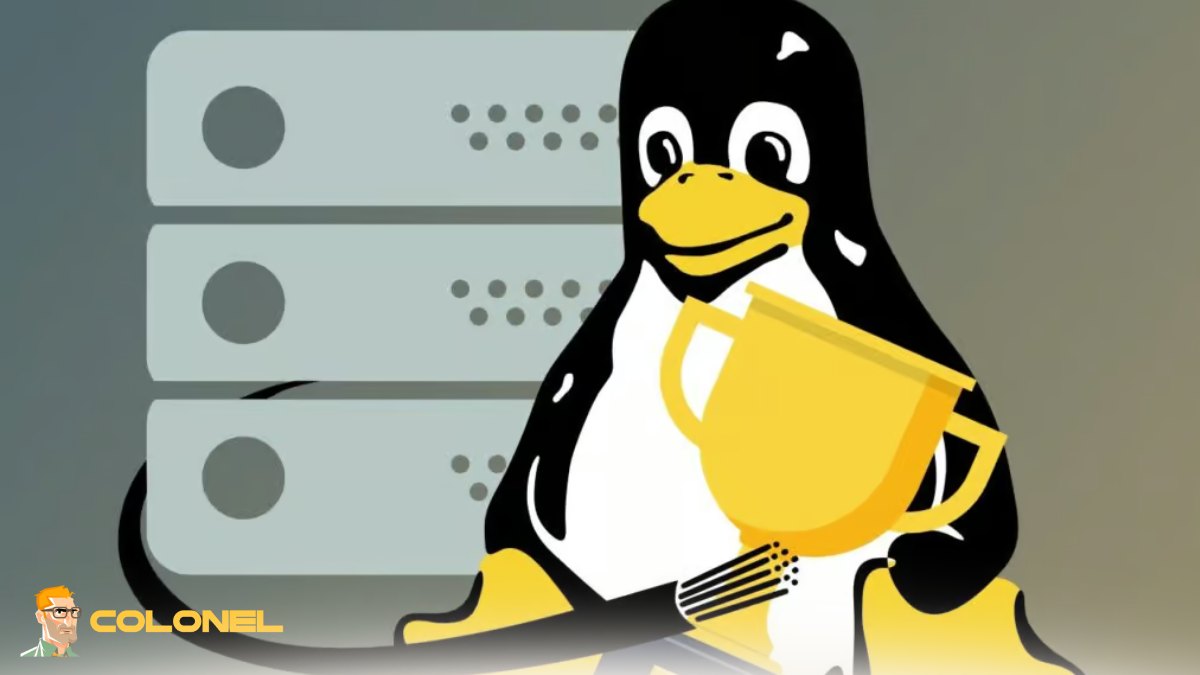 Best Linux Distributions for Virtual Servers 8 Debian for Lightweight Virtual Servers