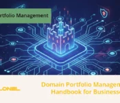 Domain Portfolio Management