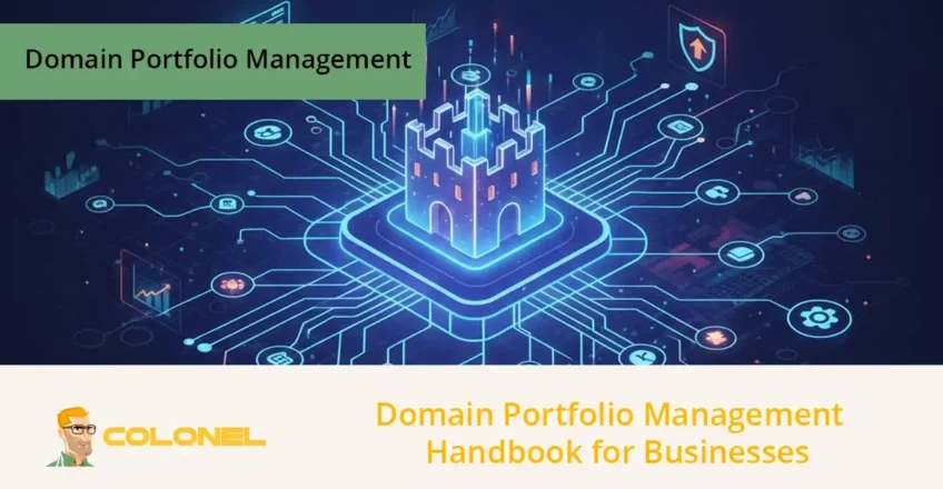 Domain Portfolio Management