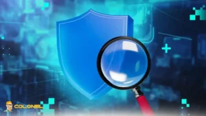 Dutch Seizure of Windscribe VPN server