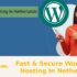 Fast & Secure WordPress Hosting In Netherlands