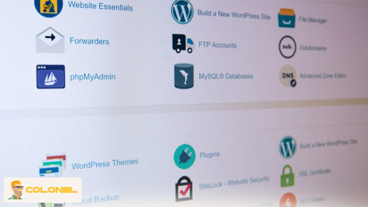 How Dutch Data Centers Enhance Your Website’s Performance