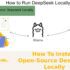 How To Install Open-Source Deepseek Locally