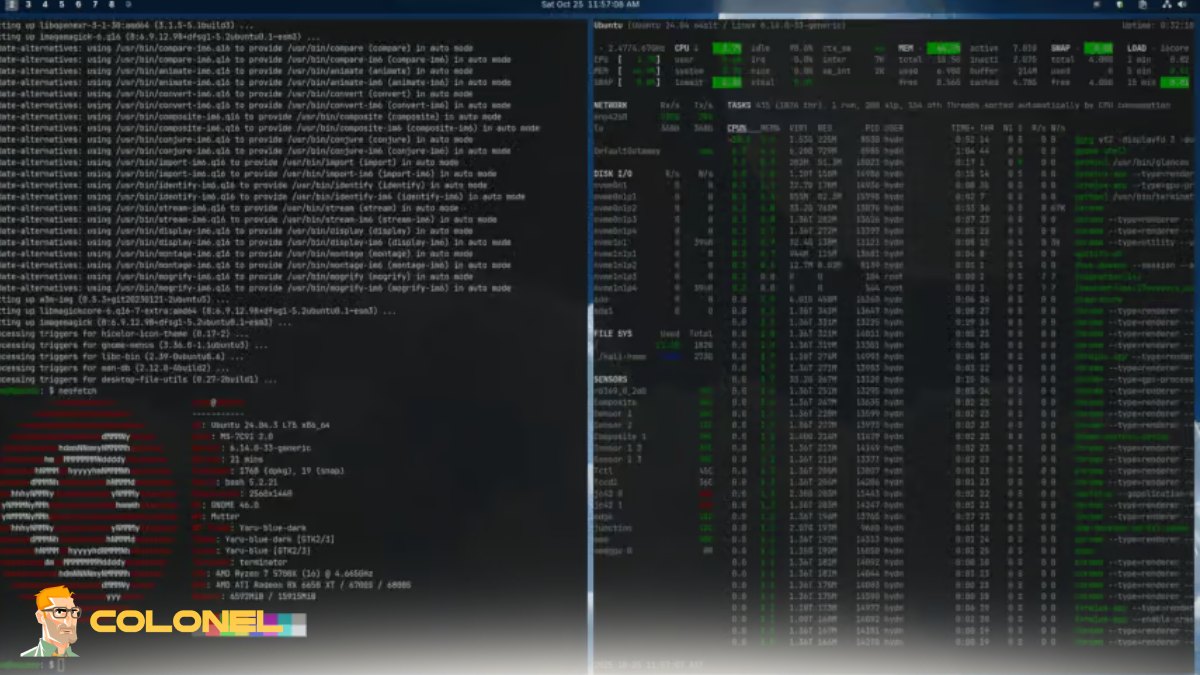 Best Linux Distributions for Virtual Servers 12 Long Term Support LTS and Update Policies