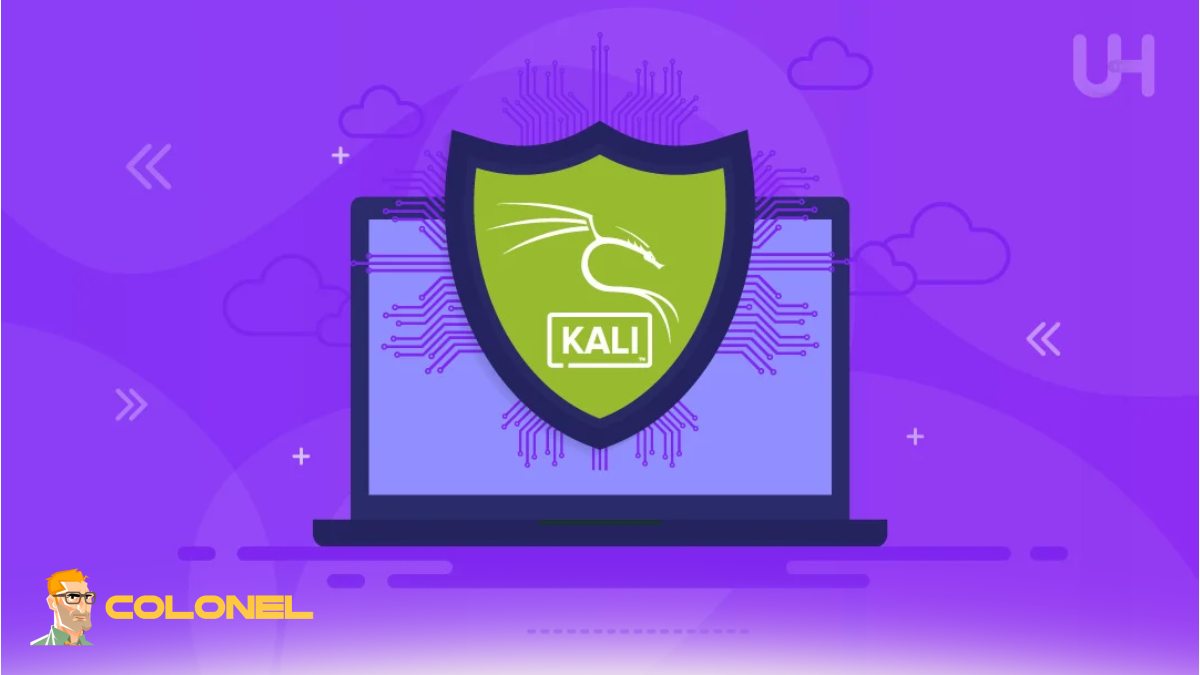 Privacy and Anonymity in Remote Security Testing