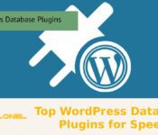 Top WordPress Database Plugins for Speed