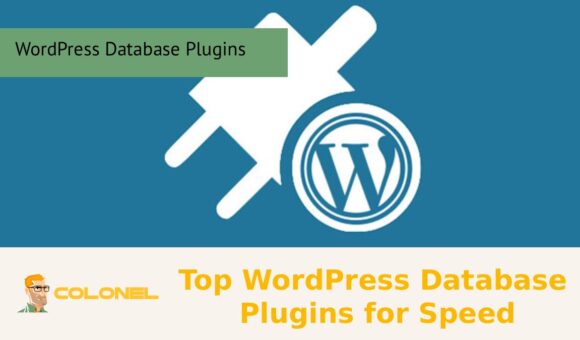 Top WordPress Database Plugins for Speed