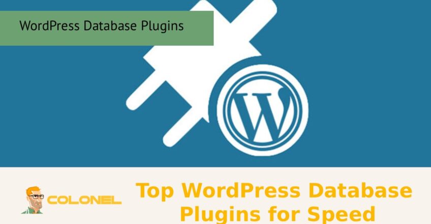 Top WordPress Database Plugins for Speed