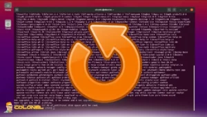 Updating Ubuntu Before MikroTik Installation