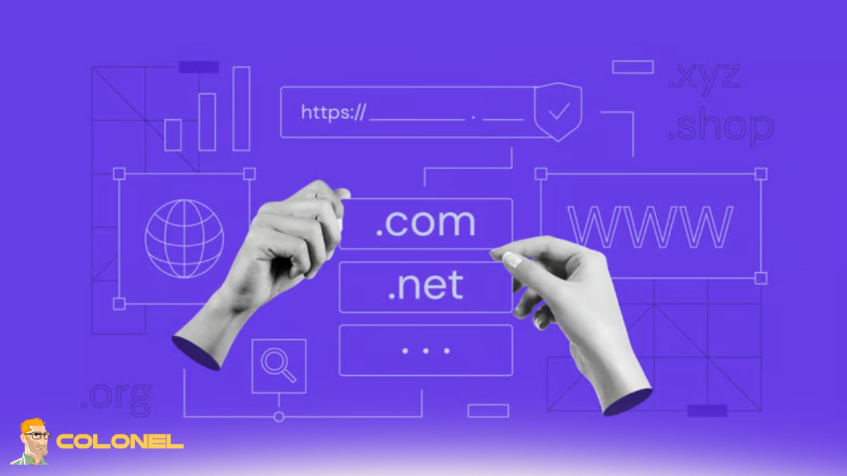 Who Should Use a Business Domain?