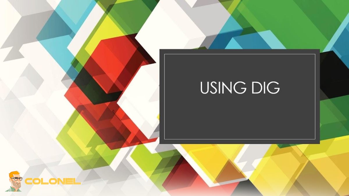 Advanced DNS Testing Through the Dig Web Interface