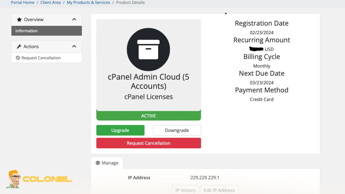 Best Practices to Prevent Server Downtime During Updates